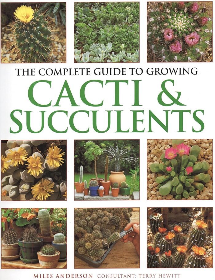 Complete Guide to Growing Cacti & Succulents