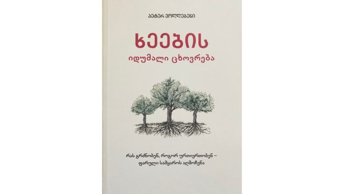 ხეების იდუმალი ცხოვრება – რას გრძნობენ, როგორ ურთიერთობენ – ფარული სამყაროს აღმოჩენა