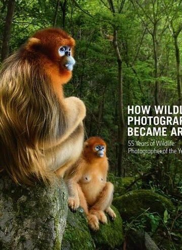 How Wildlife Photography Became Art