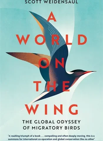 World on the Wing