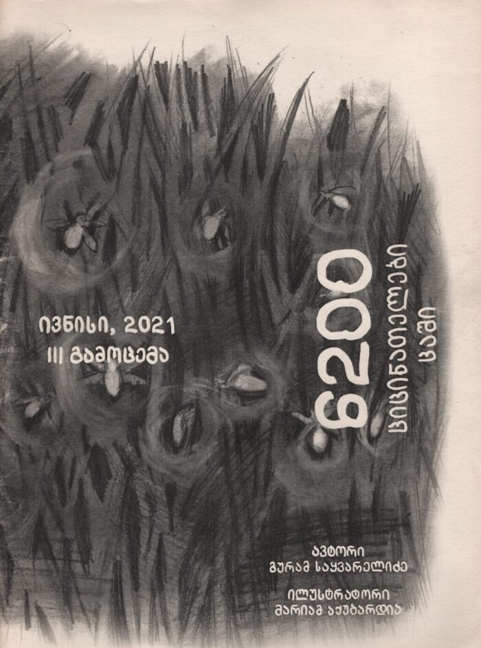 6200 ციცინათელები ცაში ივნისი