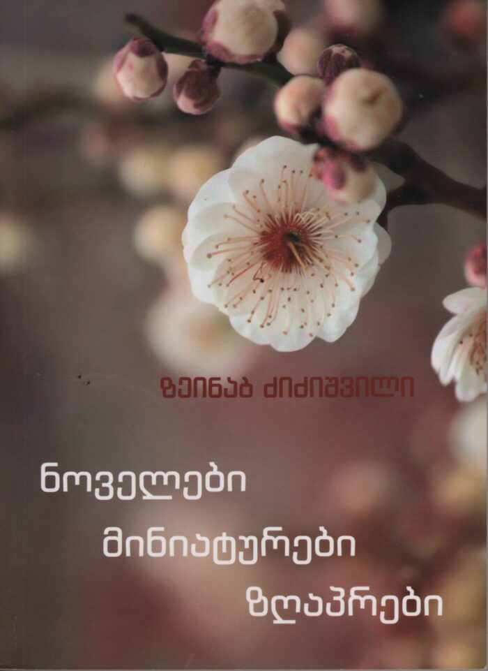 ნოველები-მინიატურები-ზღაპრები-–-ზეინაბ-ძიძიშვილი.jpg