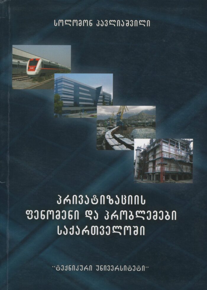 პრივატიზაციის ფენომენი და პრობლემები საქართველოში – სოლომონ პავლიაშვილი