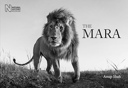 The Mara The Mara