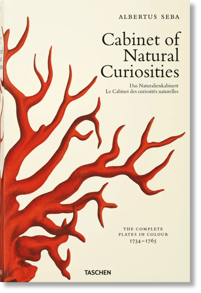 Cabinet of Natural Curiosities - Image 1