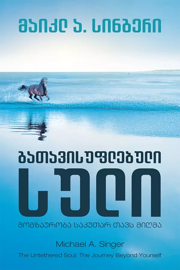 გათავისუფლებული სული მოგზაურობა საკუთარ თავს მიღმა გათავისუფლებული სული: მოგზაურობა საკუთარ თავს მიღმა