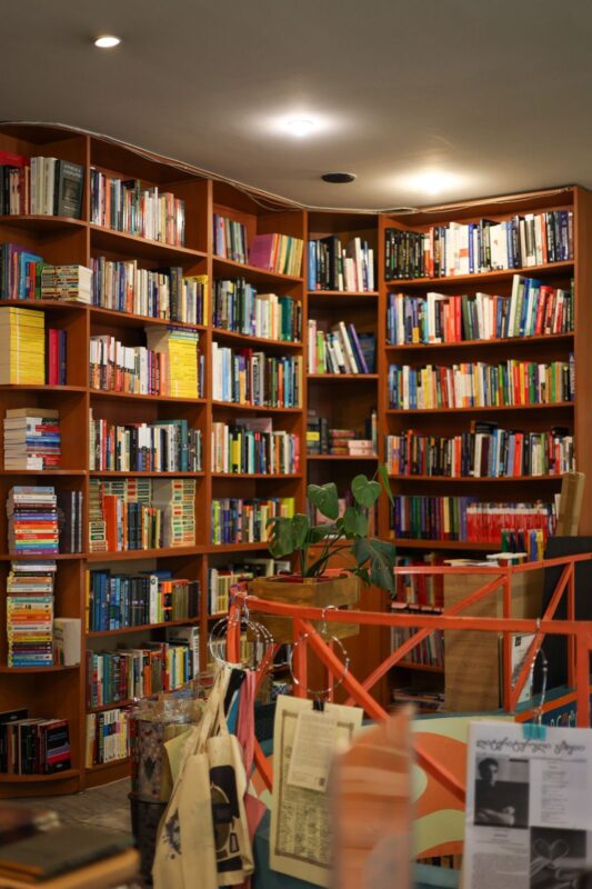 WhatsApp Image დდდდ2026-02-14 at 14.57.53